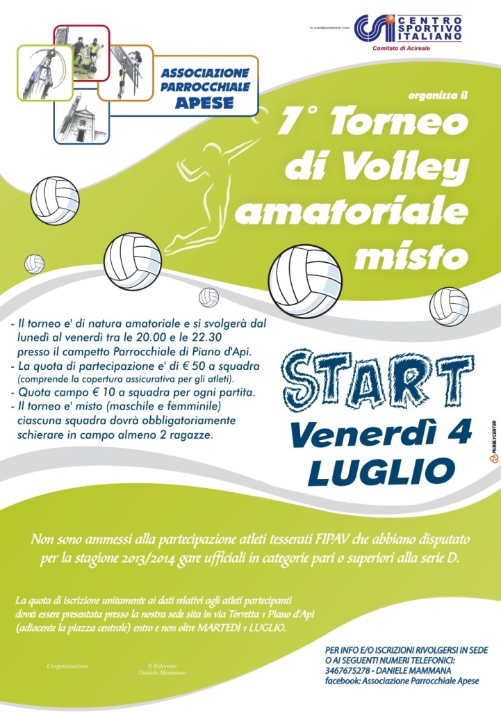 Locandina Torneo Pallavolo 2014